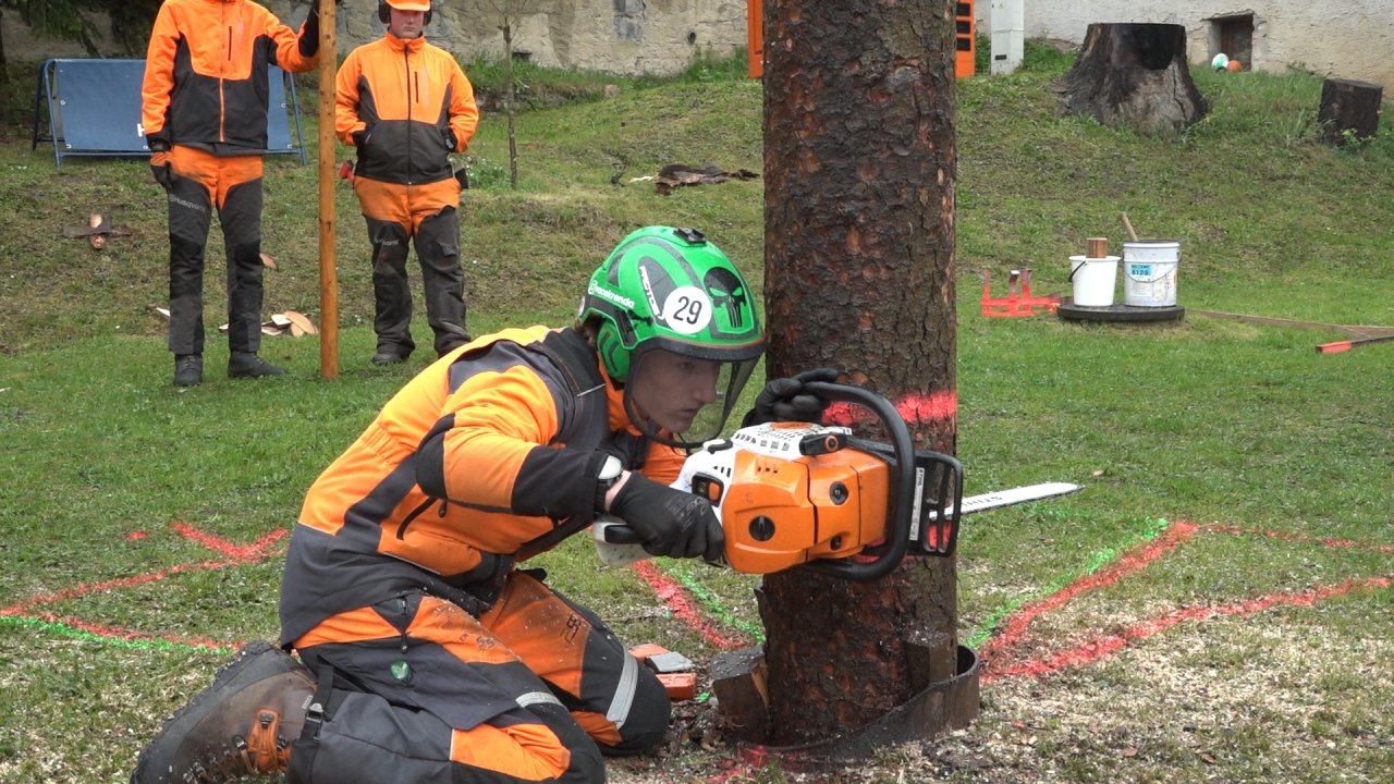 Výsledky v oboru lesní mechanizátor